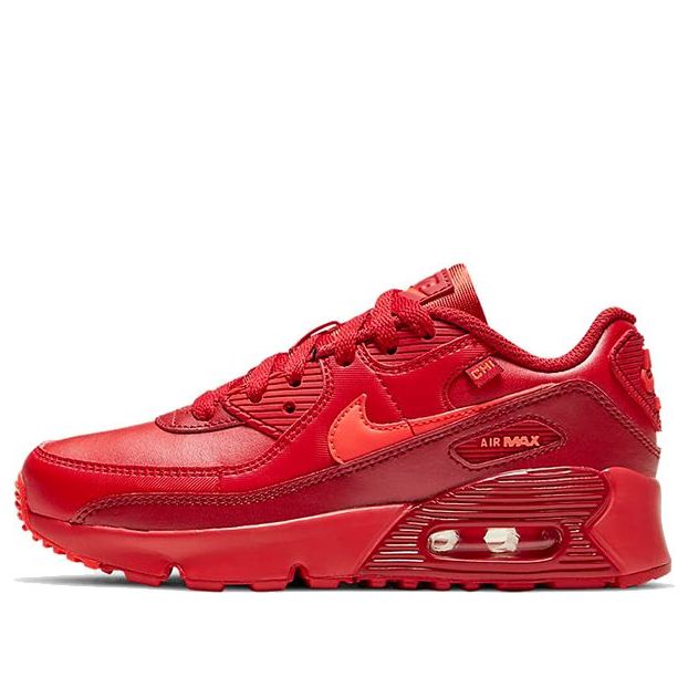 (PS) Nike Air Max 90 'City Special - Chicago' DH0150-600