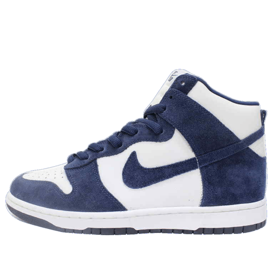 Nike SB Dunk High Pro 'Villanova' 305050-141