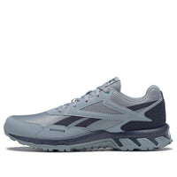Reebok Ridgerider 5.0 'Meteor Grey' FW5275