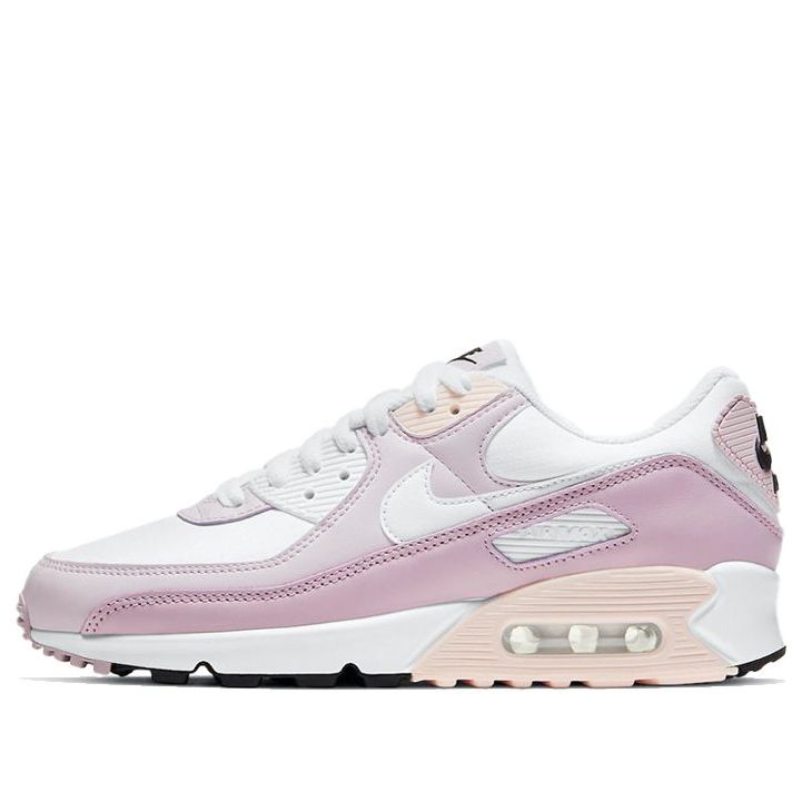 (WMNS) Nike Air Max 90 'Light Violet Champagne' CV8819-100