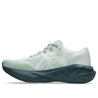 ASICS Novablast 5 TR 'Nature Bathing Lichen Rock' 1011C138-300
