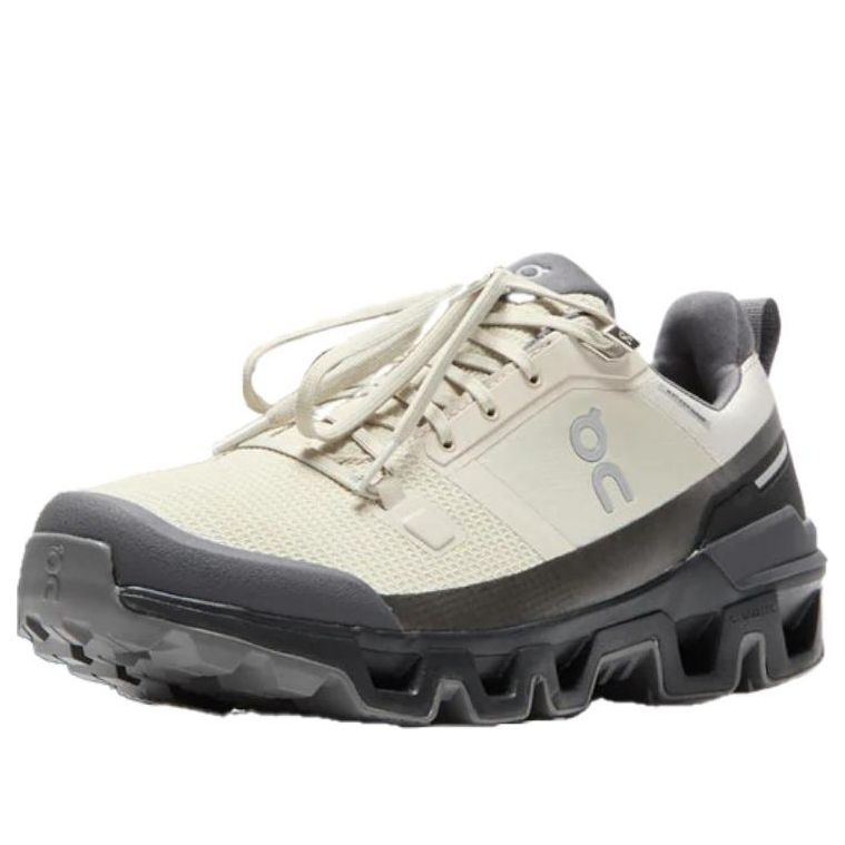 On Running Cloudwander Waterproof 'Sand Black' 73.97668