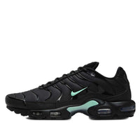 Nike Air Max Plus 'Black Mint Green' DM0032-029