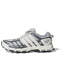 adidas Adistar Raven 'Grey Wonder Beige' IH8015