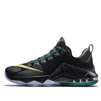 Nike LeBron 12 Low 'Carbon Fiber' 724557-070