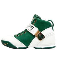 Nike Zoom LeBron 5 'Birthday' 317253-311