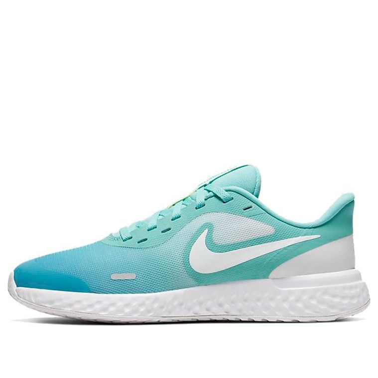 (GS) Nike Revolution 5 D2N 'Aurora Green' CW1410-300