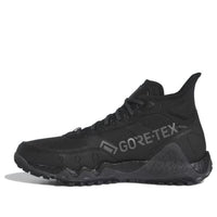 adidas Adicross GORE-TEX High Boost 'Black' GW2119
