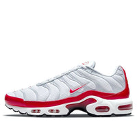 Nike Air Max Plus 'Air Max 1' DM8332-100