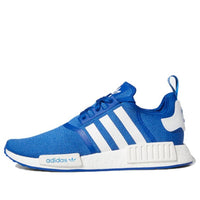 adidas NMD_R1 'Royal Blue' FY9383