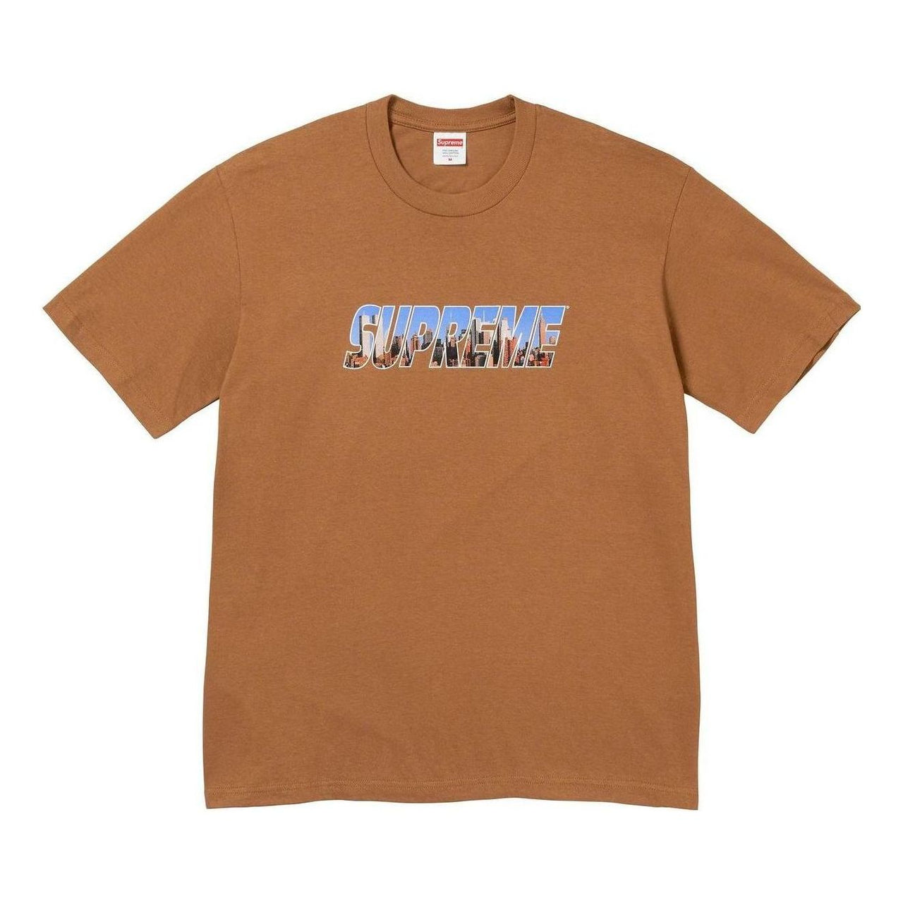 Supreme Gotham T-Shirt 'Brown Teal' SUP-FW23-005