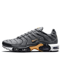 Nike Air Max Plus SE 'Iron Grey Metallic Gold' DM7570-002