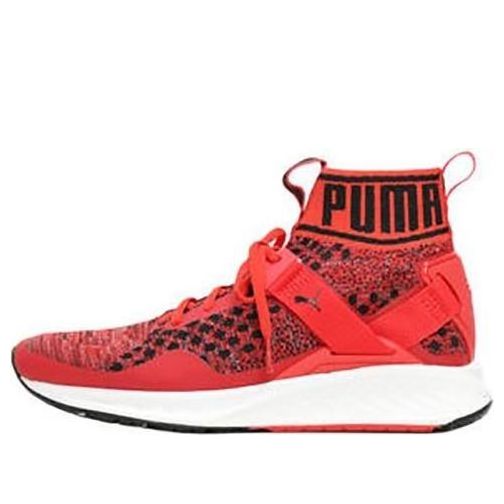 PUMA Ignite EvoKnit 'Red' 189697-02