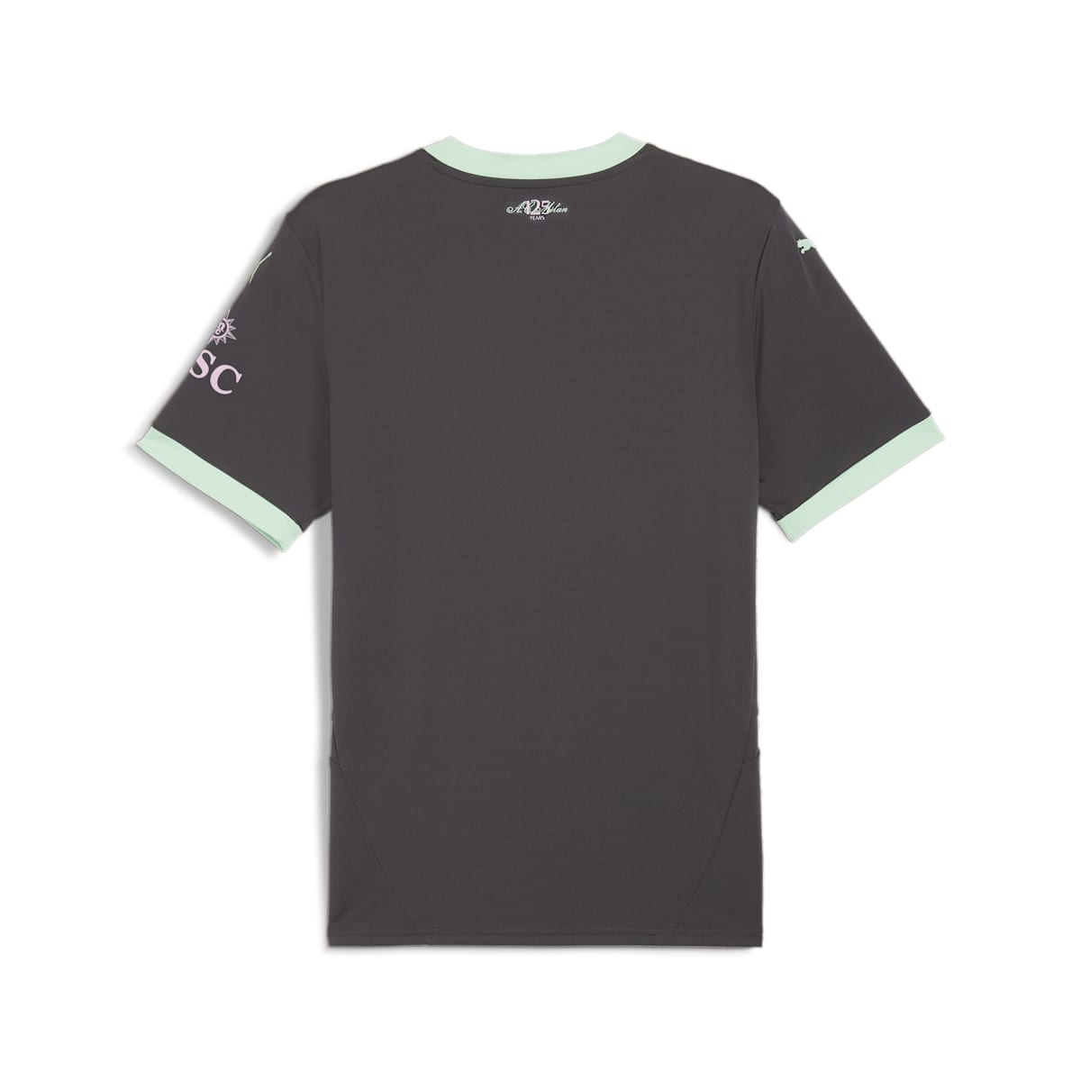 PUMA AC Milan 24/25 Third Jersey 'Grey Mint' 775031-03