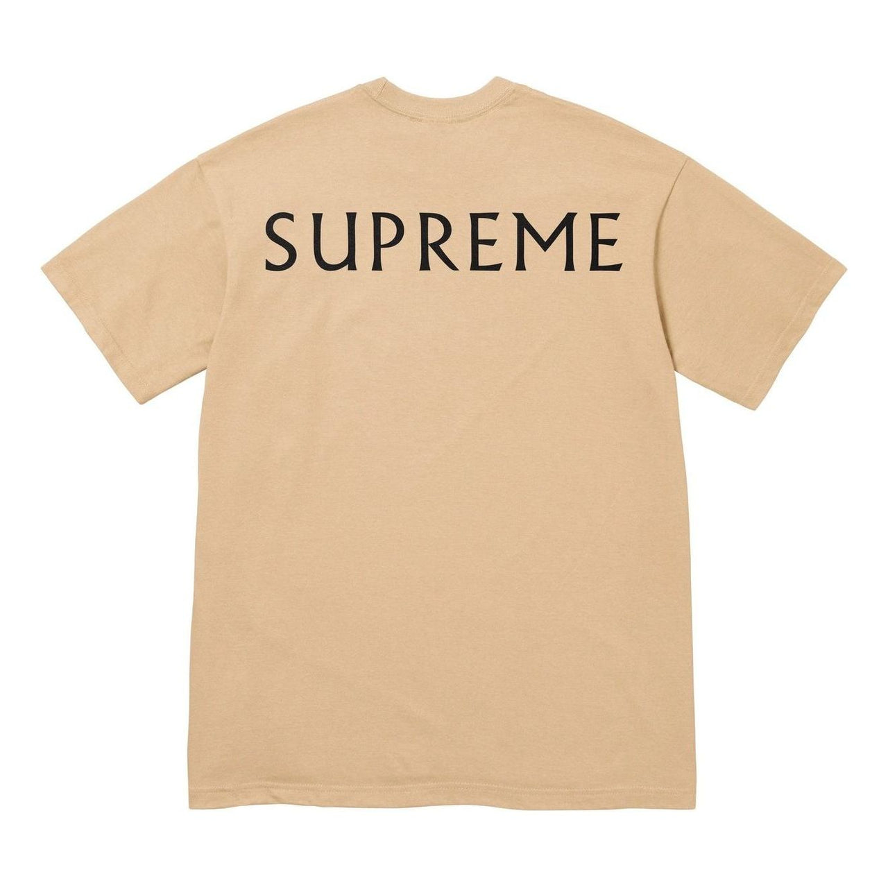 Supreme x Damien Hirst T-Shirt 'Khaki' SS25T5-KHAKI