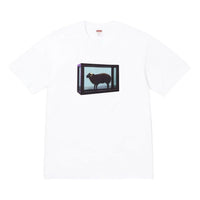 Supreme x Damien Hirst T-Shirt 'White' SS25T5-WHITE