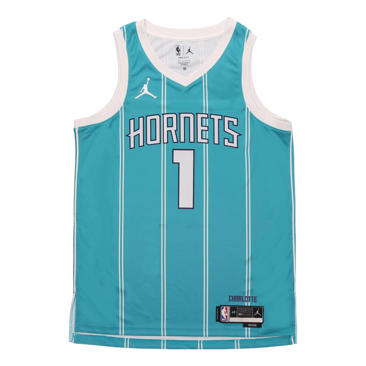 Air Jordan  Dri-FIT NBA Charlotte Hornets Lamelo Ball Icon Edition 2022/23 Swingman Jersey 'Green' DN1998-415