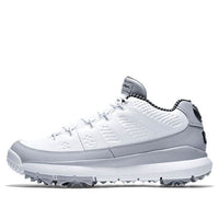 Air Jordan 9 Retro Golf 'Wolf Grey' 833798-103