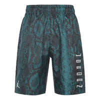 Air Jordan 11 Snakeskin Snake Skin Shorts For Men Blue/Black CI0313-414